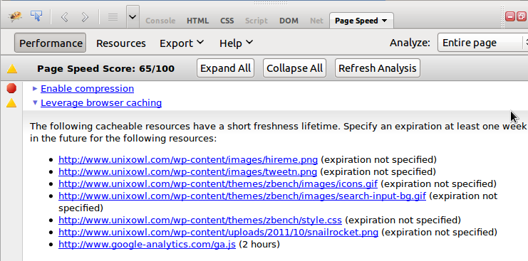 Google Page Speed Leverage Browser Caching